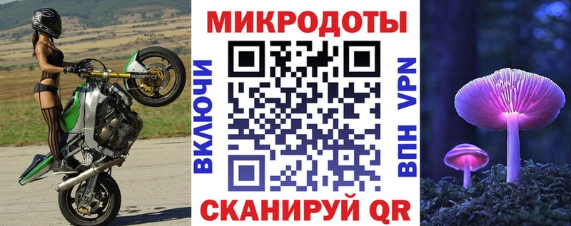 мега как зайти  Павловская  Псилоцибиновые грибы MAGIC MUSHROOMS  купить  