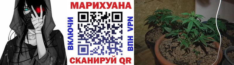 OMG tor  Павловская  Шишки марихуана Amnesia  где купить наркотик 