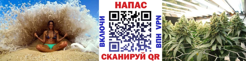 Бошки марихуана сатива Павловская